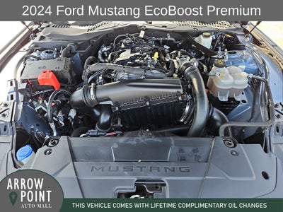 2024 Ford Mustang EcoBoost Premium