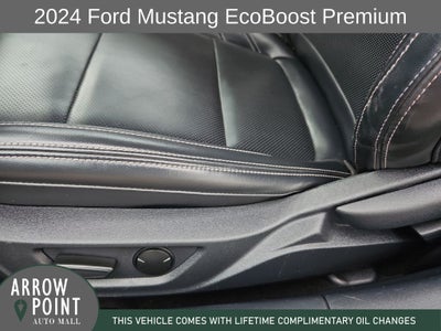 2024 Ford Mustang EcoBoost Premium
