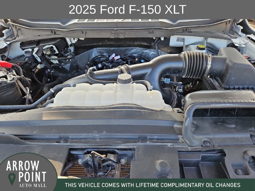 2025 Ford F-150 XLT