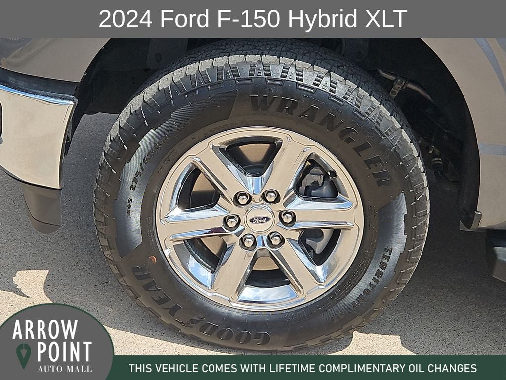 2024 Ford F-150 XLT