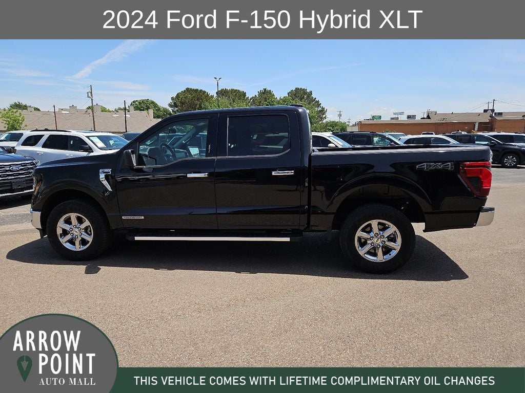 2024 Ford F-150 XLT