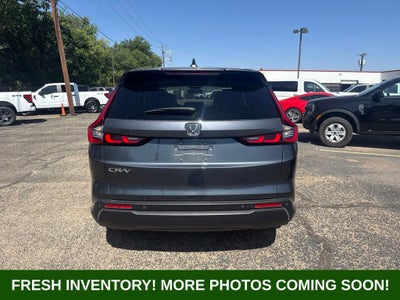 2025 Honda CR-V EX-L